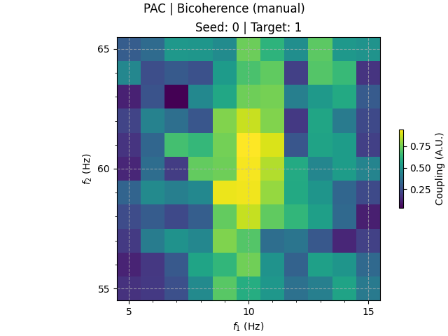 PAC | Bicoherence (manual), Seed: 0 | Target: 1